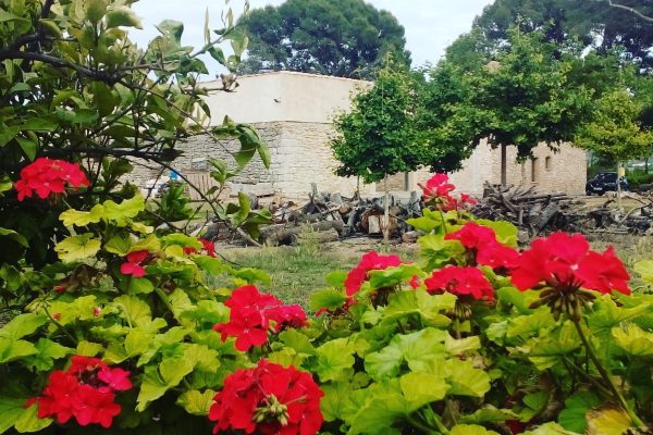 242462011_180505270872132_9014874447426649433_n