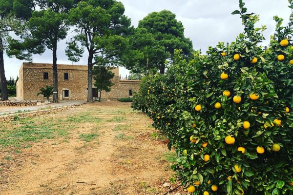 289008684_353036810285643_5182411017838951612_n