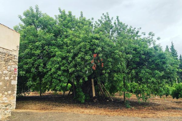 289417601_358149139774410_8067673465623350275_n