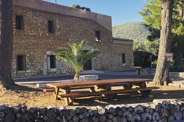 289582310_355676566688334_3554664527723328432_n