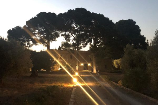 294576273_375087214747269_4356307739600862797_n