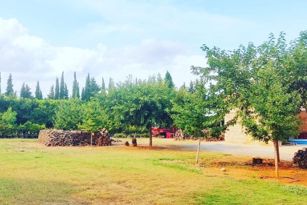 299174576_390085329914124_152771614800548568_n