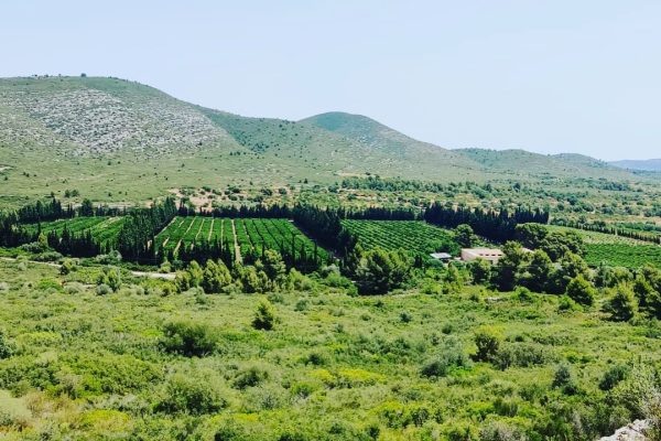 299192580_388190883436902_4434077684990572473_n